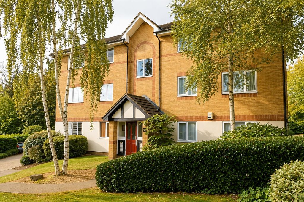Property photo 1 of 6 A7412144-96B7-4510-Bb3B-Bd3676Eedba0.Png