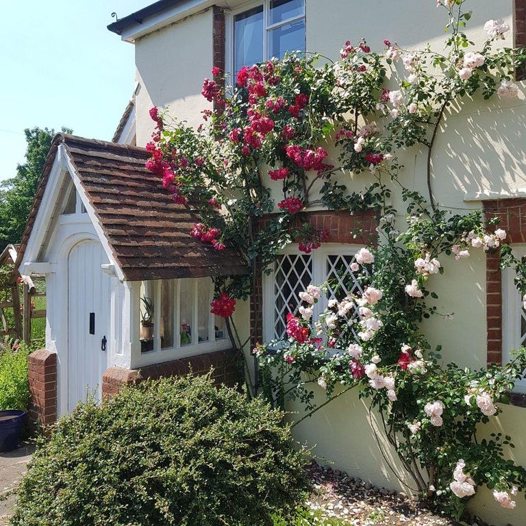 Property photo 1 of 27 Rose-Pic-Front.Jpg