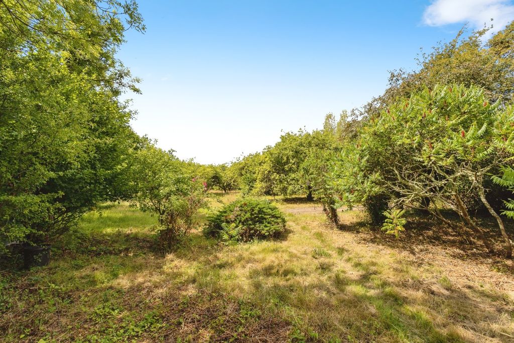 Property photo 3 of 17 Photo