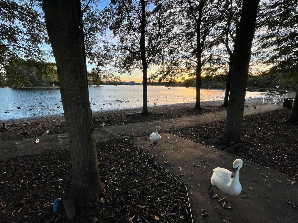 Property photo 3 of 23