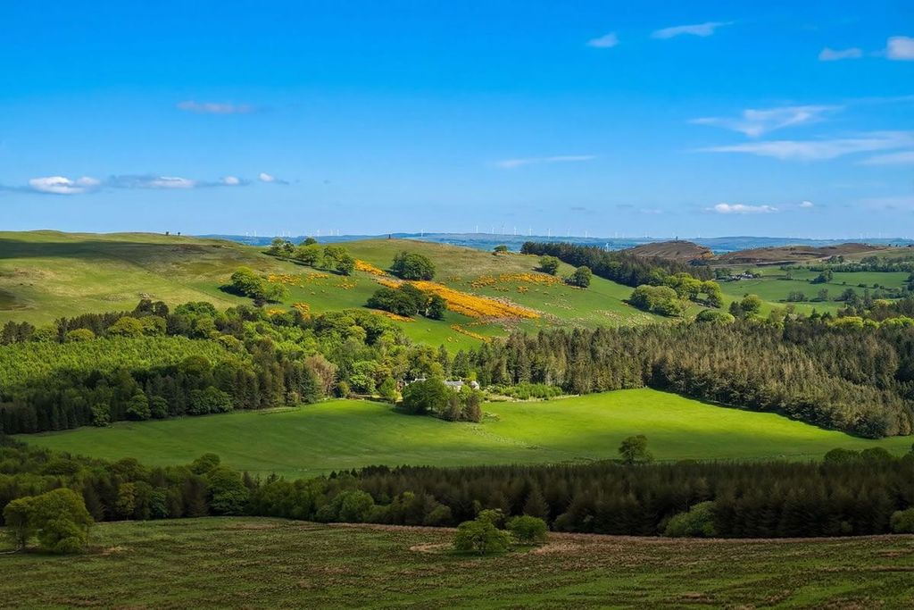 Additional image 7 of Land for saleBuilding Plot, Smiddy View, Sandilands, Carmichael Biggar ML126Ng ML12