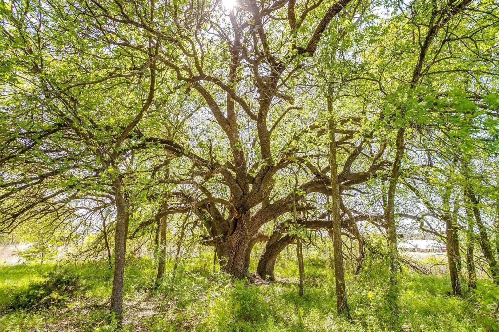 Property photo 2 of 3 <Alttext/>