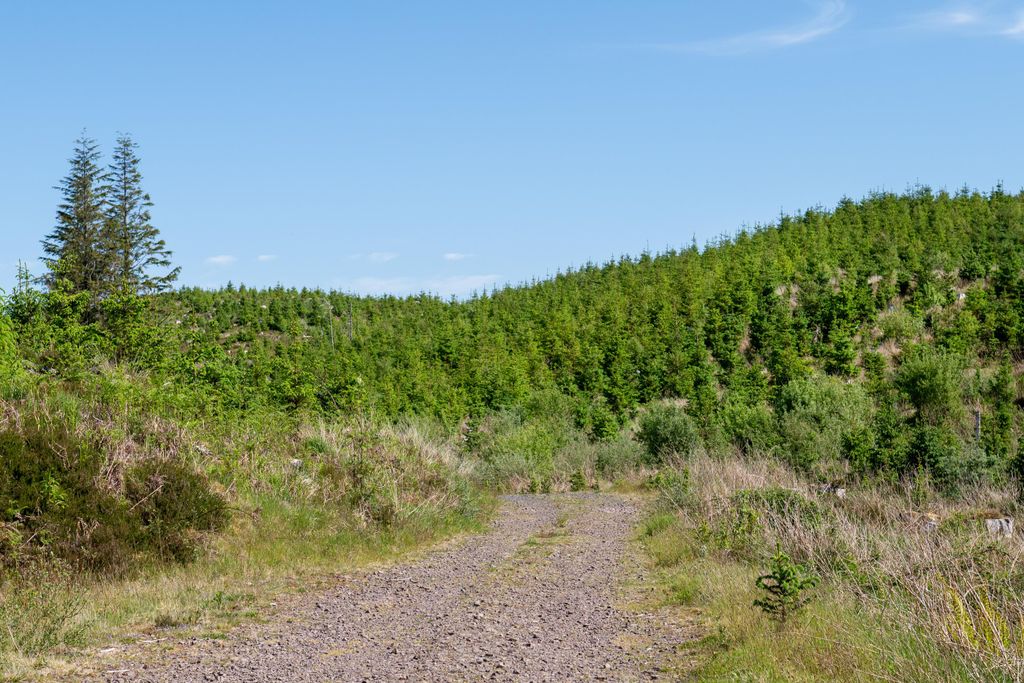 Additional image 20 of 3 bed farm for saleGlencruitten, Oban, Argyll And Bute PA34