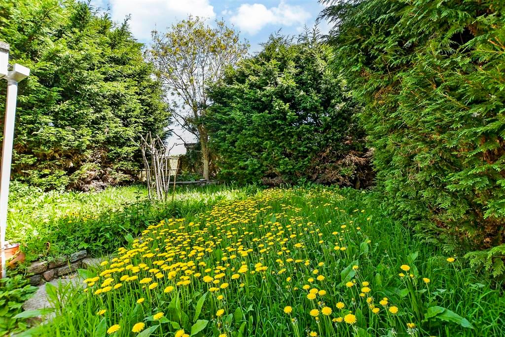 Property photo 3 of 16 Rear Garden