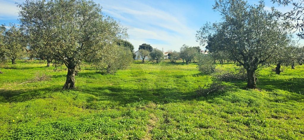 Property photo 3 of 24