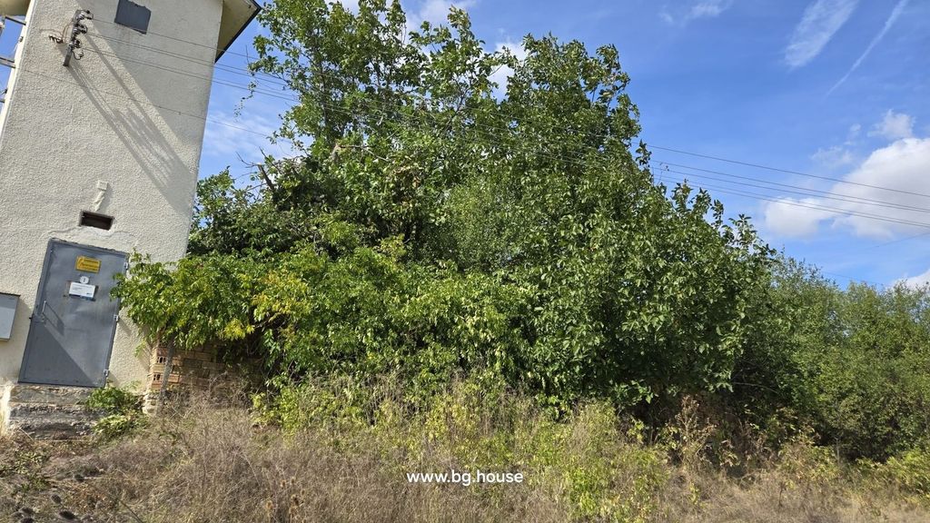 Property photo 3 of 47 Garden Area Densely Covered With Trees And Bushes Beside A White Building Corner.