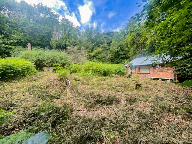 Property photo 1 of 12 4-Img_2700