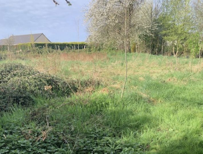 Property photo 1 of 2