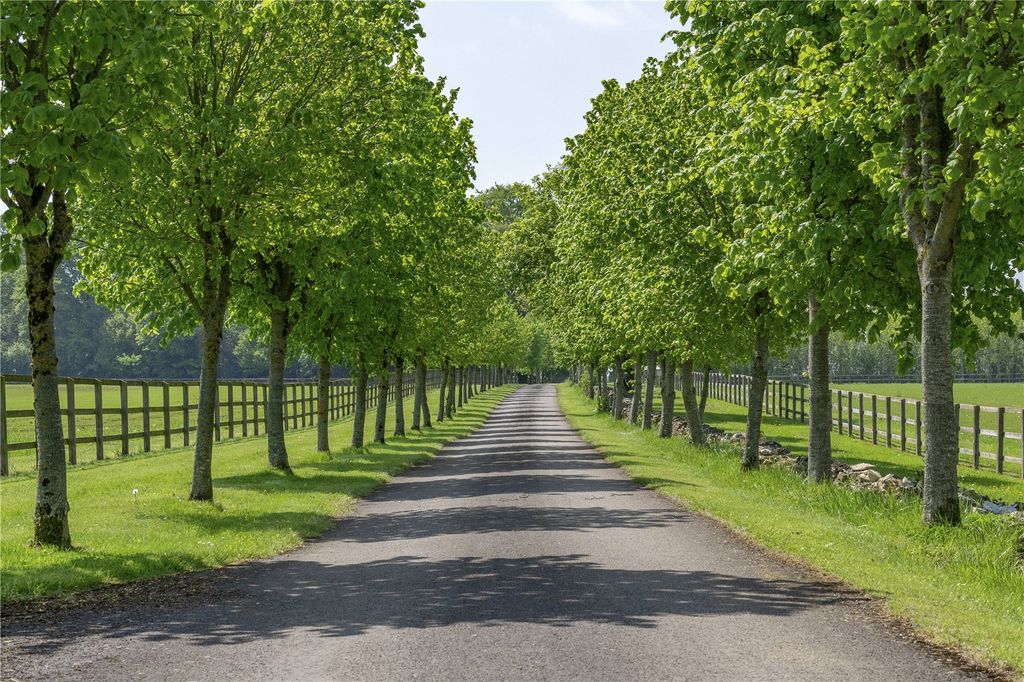 Property photo 2 of 24 Tree-Lined Drive