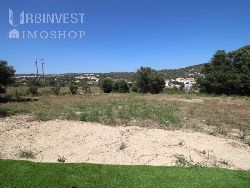 Property photo 2 of 50