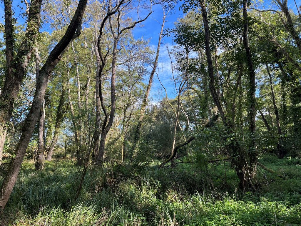 Property photo 2 of 8 Picture No. 11