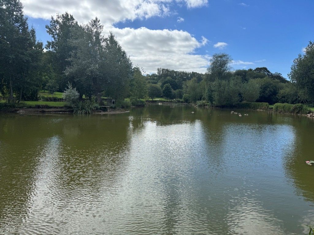 Property photo 3 of 31 Main Lake - View 3