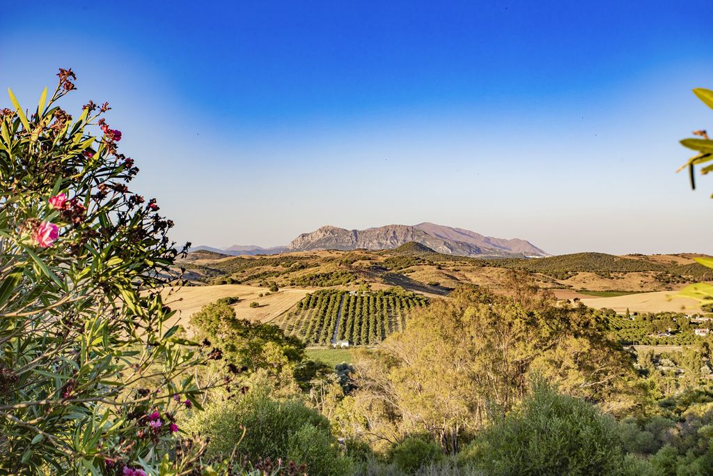 Property photo 2 of 30