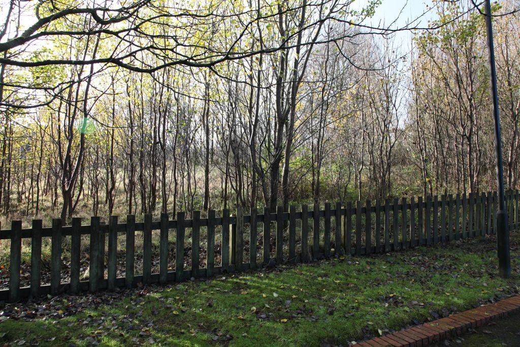 Property photo 2 of 6 Photo 1