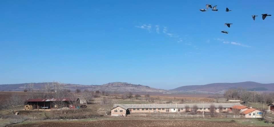 Property photo 1 of 43 View Of The Long Farm Building And Open Farmland With Hills In The Distance And Birds Flying Overhead.