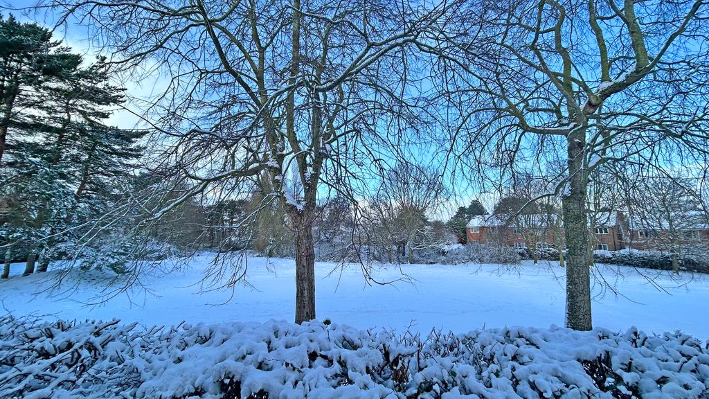 Property photo 2 of 20 Img_0264