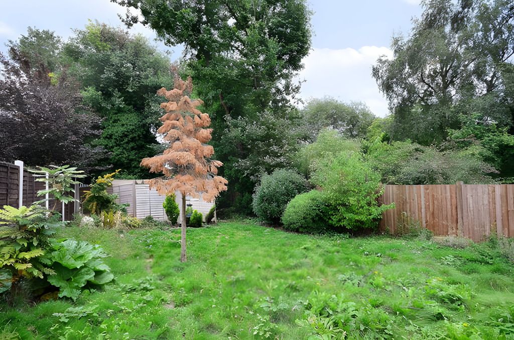 Property photo 2 of 7