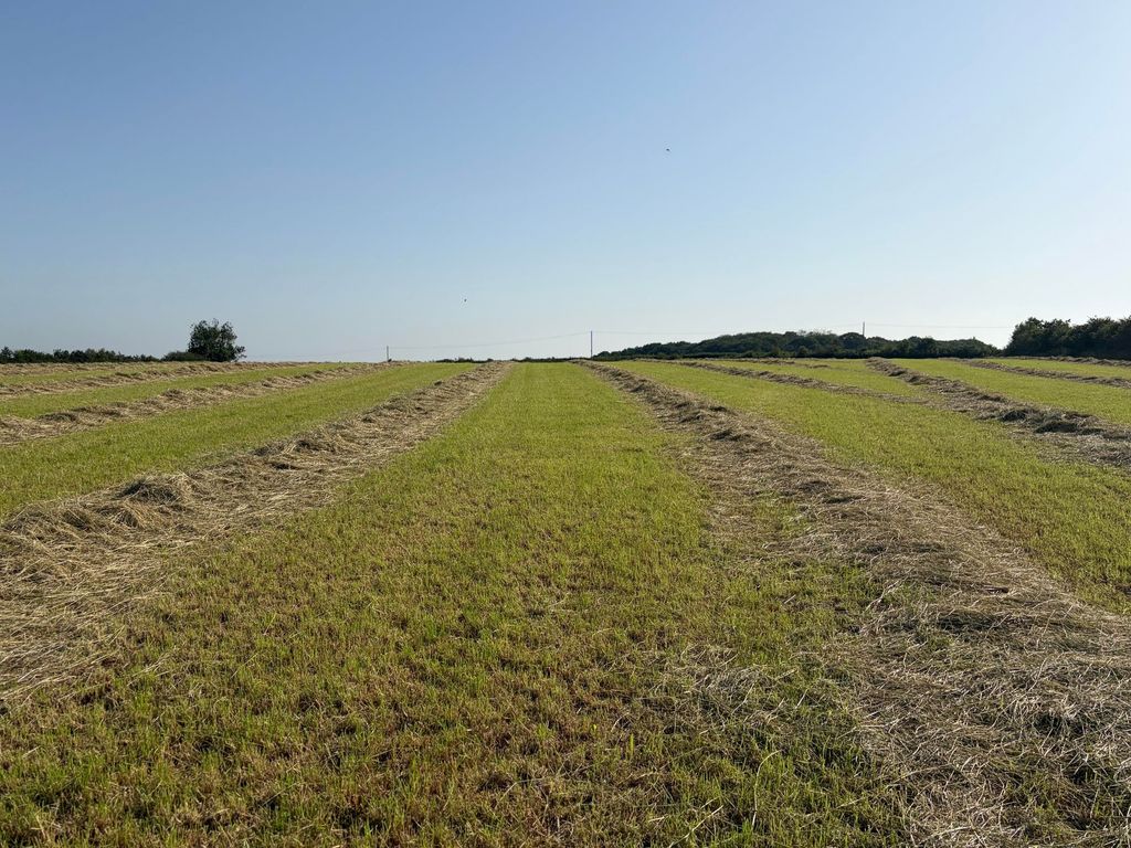 Land for saleInwardleigh, Okehampton EX20 photo 4