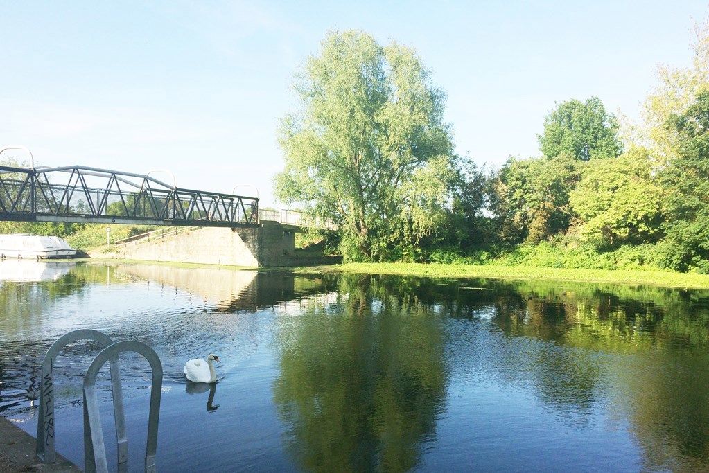 Property photo 2 of 16 Jpg