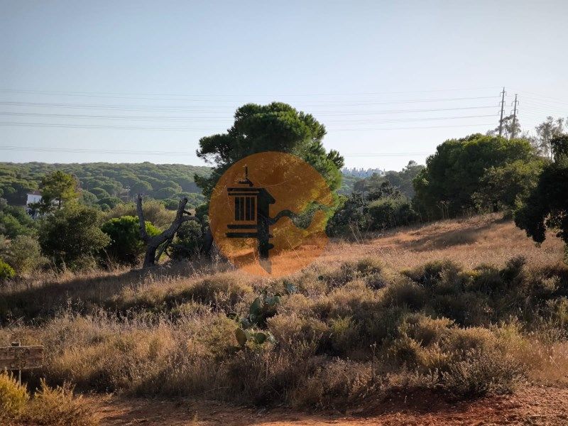 Property photo 1 of 29