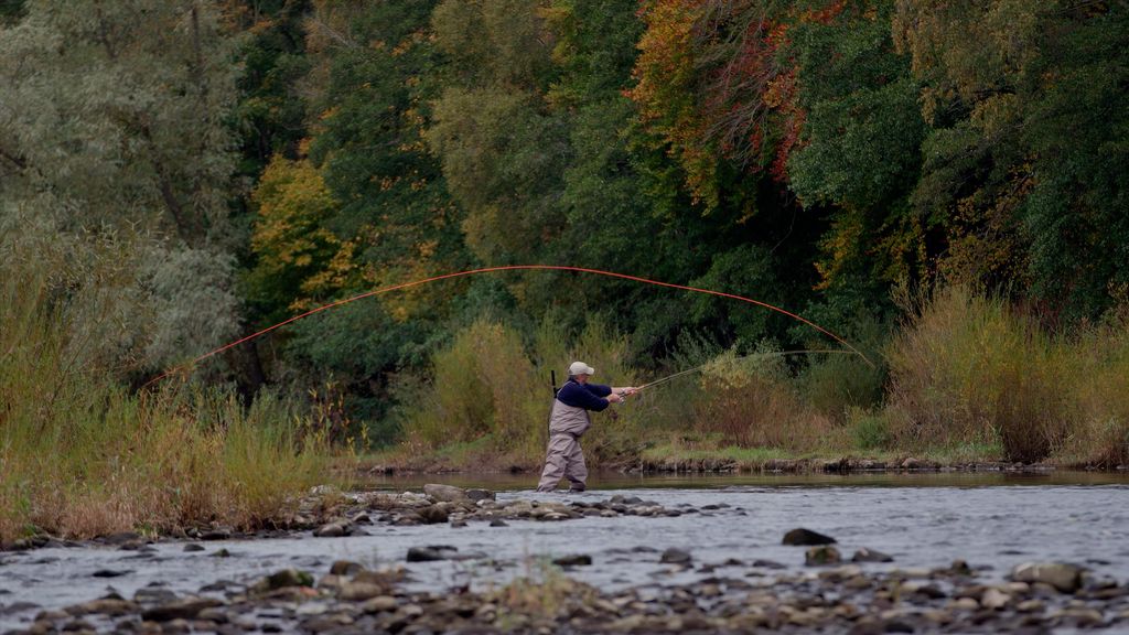 Property photo 2 of 19 Image