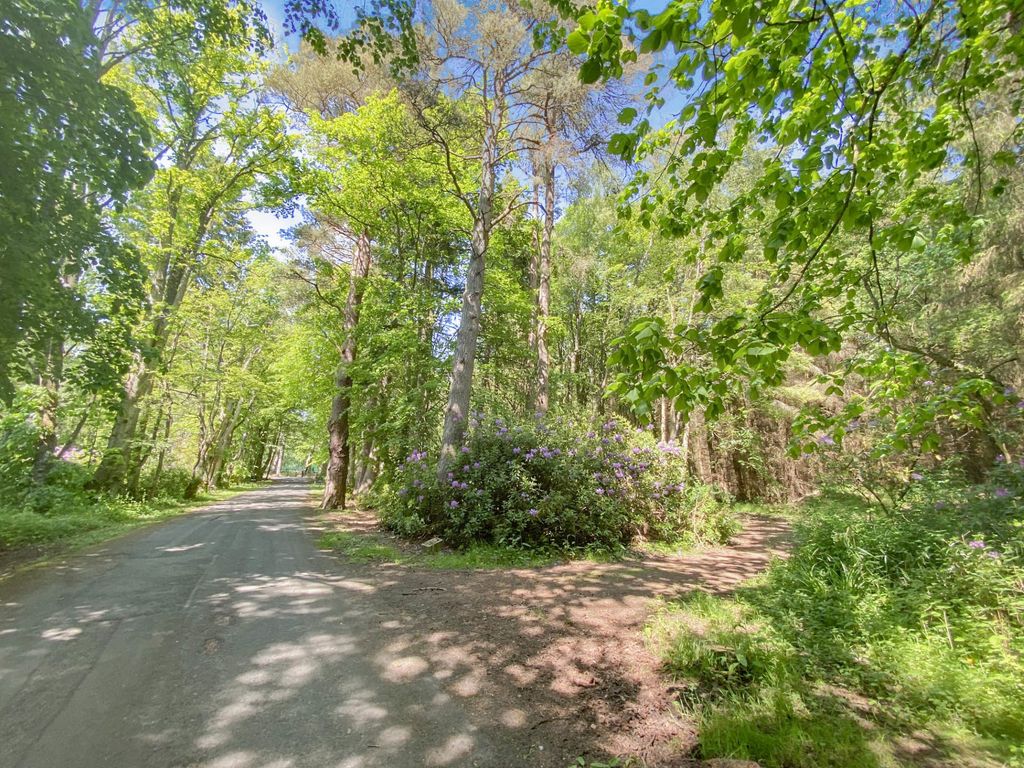 Property photo 3 of 19