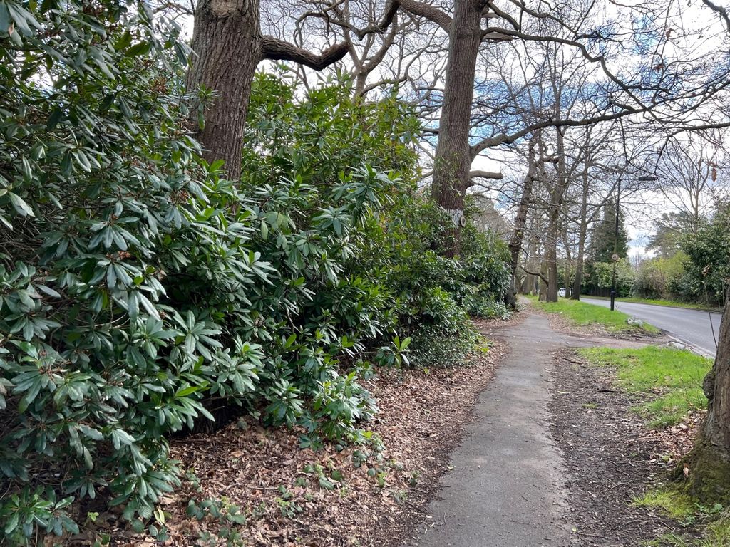 Property photo 3 of 3 Photo 1