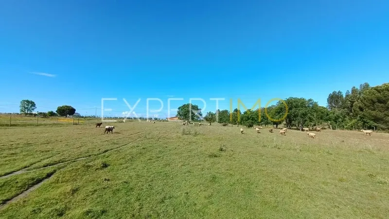 Property photo 3 of 8 Img 2