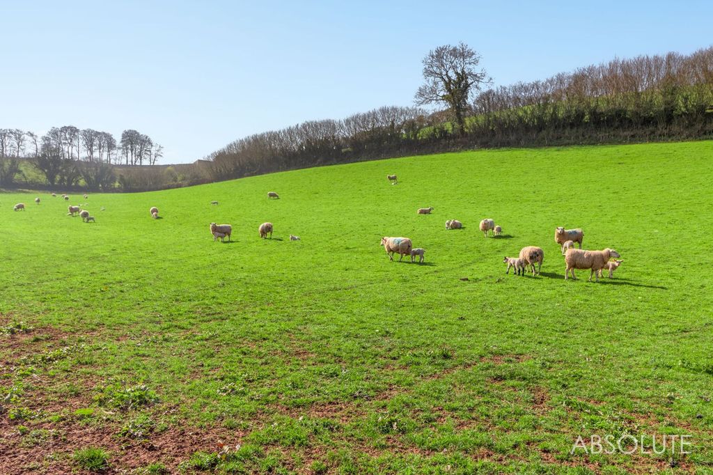 Property photo 3 of 36