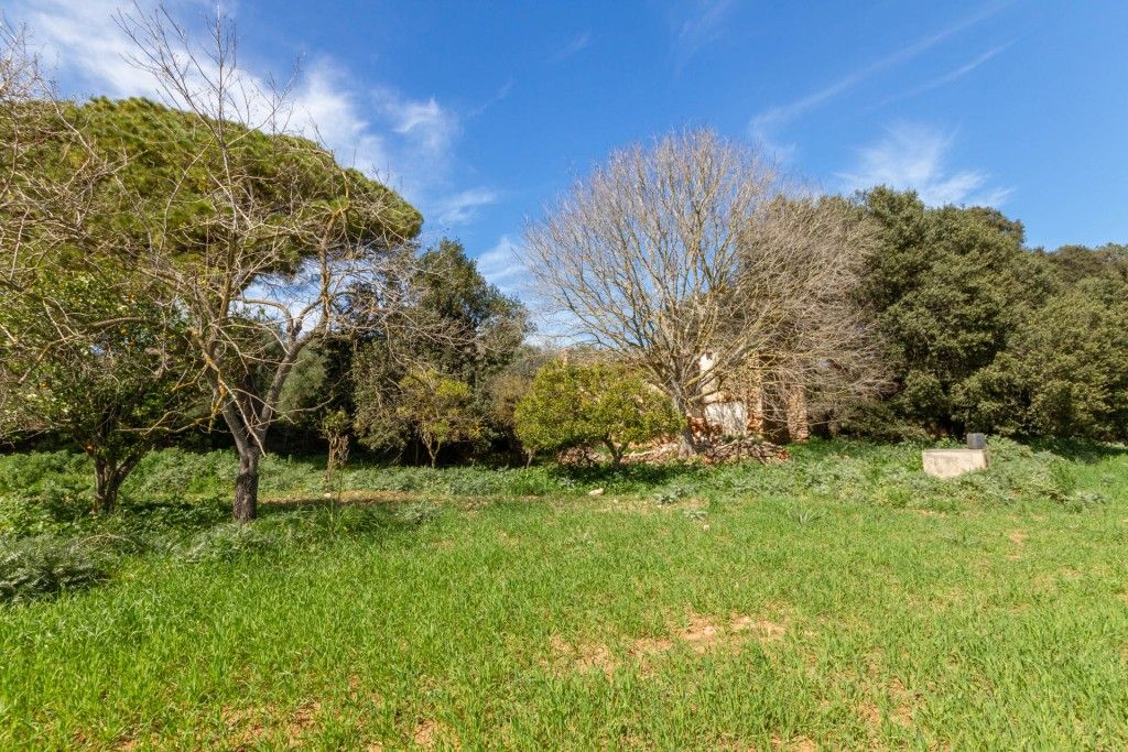 Property photo 2 of 18 Plot (4)