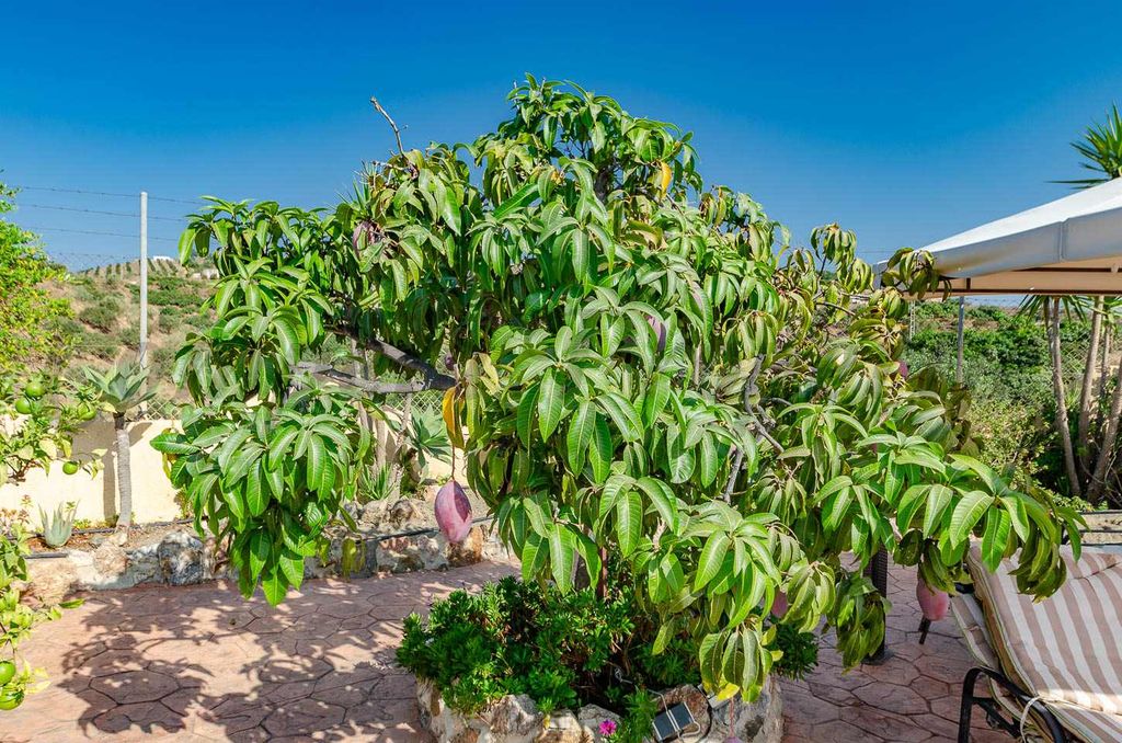 Property photo 3 of 20