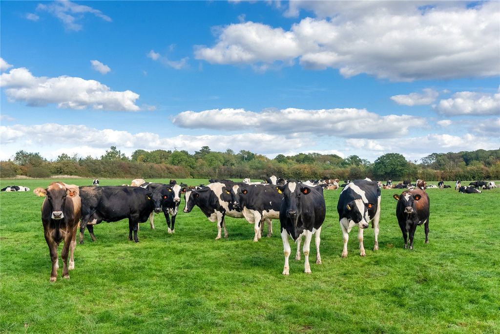 Property photo 3 of 26 Land