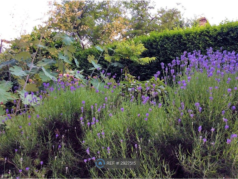 Property photo 3 of 17 Front Garden