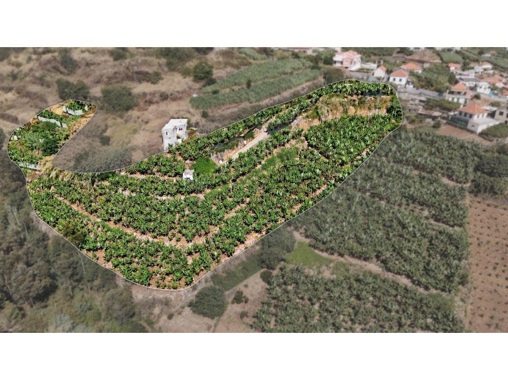 Property photo 1 of 17 Terreno On The Ponta Do Sol With Sea View