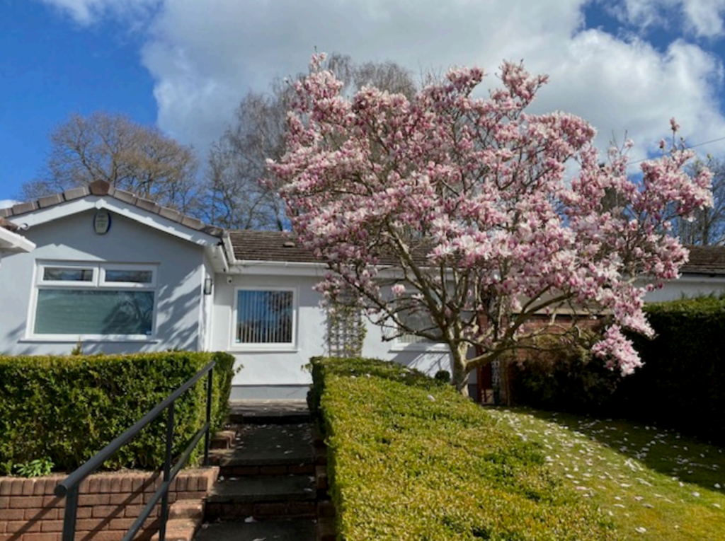 Property photo 1 of 40