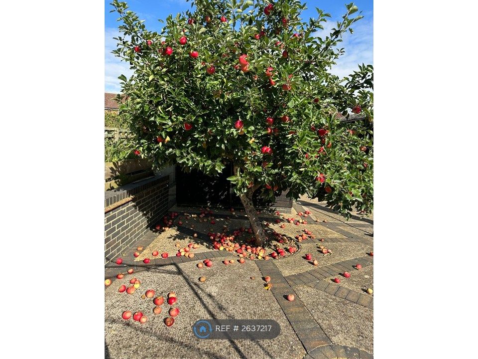 Property photo 2 of 12 Garden Fruit Trees