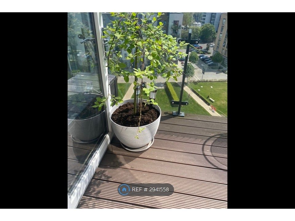 Property photo 3 of 16