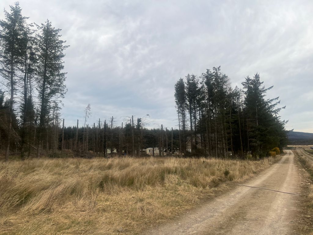 Property photo 2 of 7