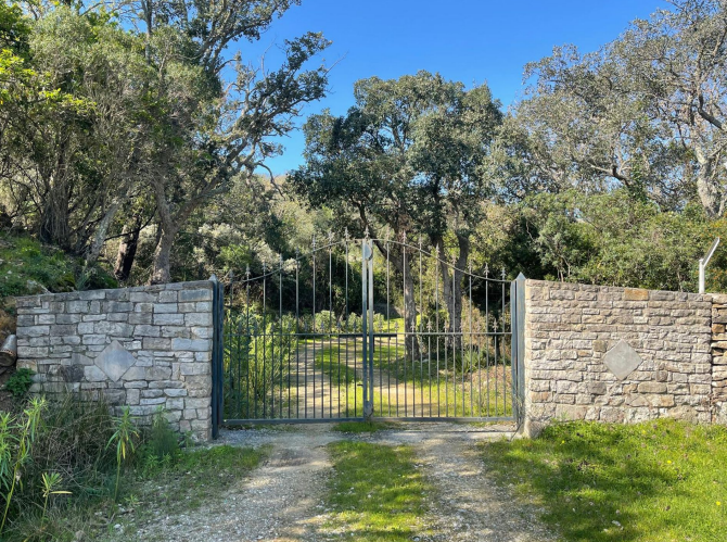 Property photo 3 of 11