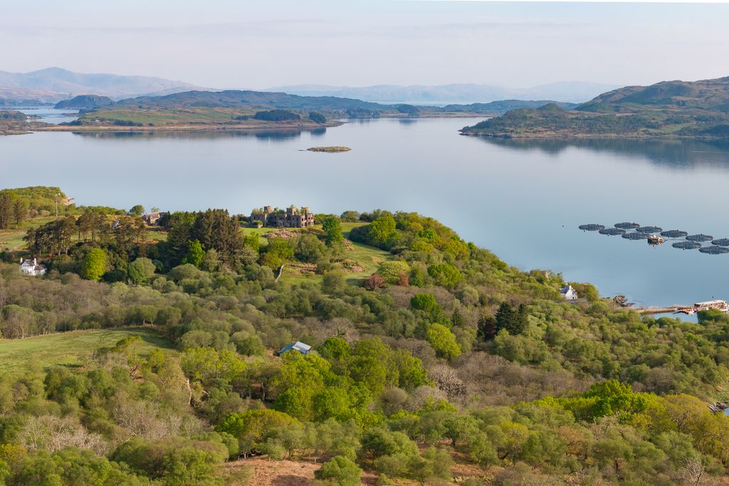 Property photo 2 of 24