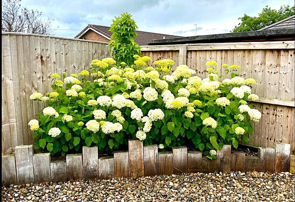 Property photo 2 of 28