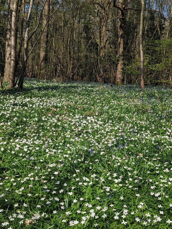 Property photo 1 of 12 Img-20251028-Wa0018.Jpg