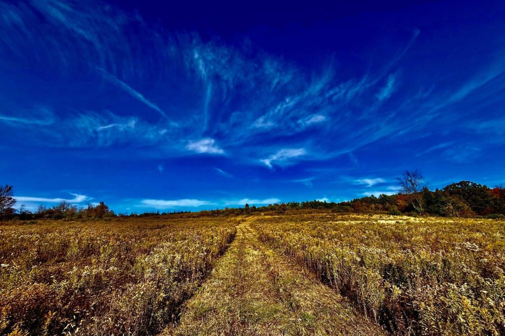 Property photo 3 of 7 <Alttext/>