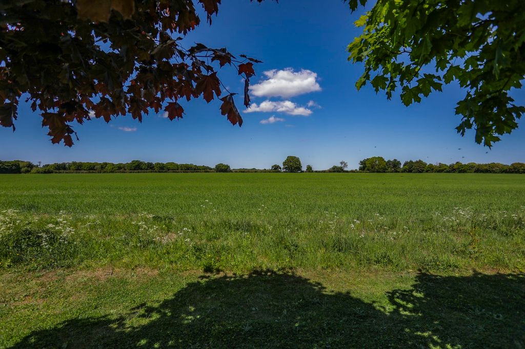 Property photo 3 of 26 9T5A8418
