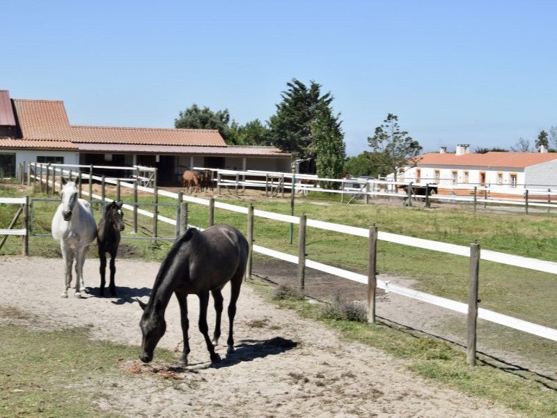 Property photo 1 of 50