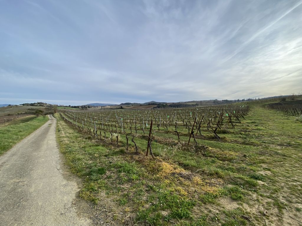 Property photo 3 of 26