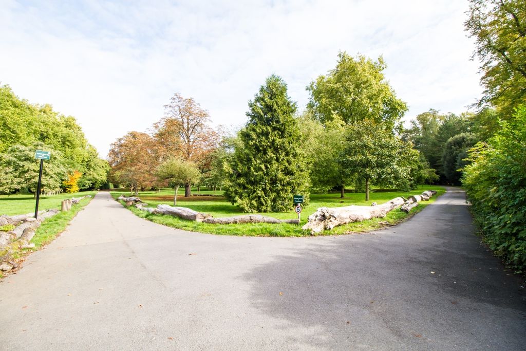 Property photo 3 of 8 42833