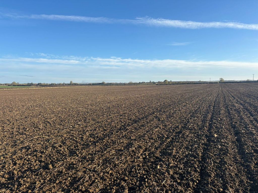 Property photo 3 of 3 Land