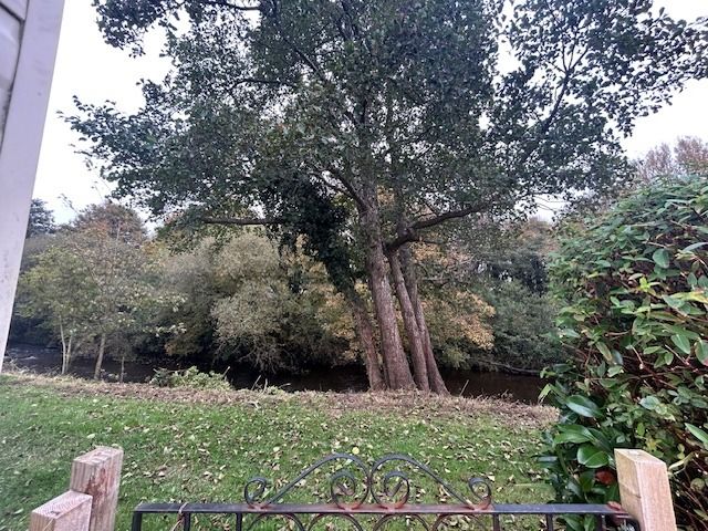 Property photo 2 of 8 Img 1801