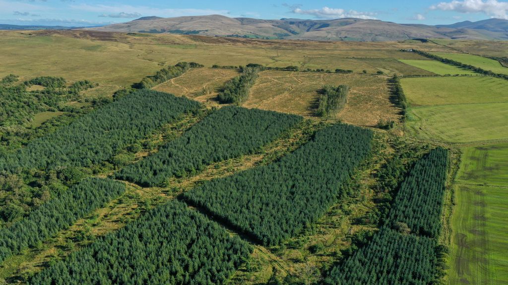 Additional image 10 of Land for saleWestward, Wigton 8Nq, Wigton CA7